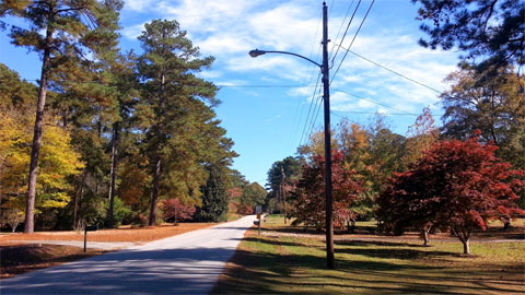 Fall in Georgia